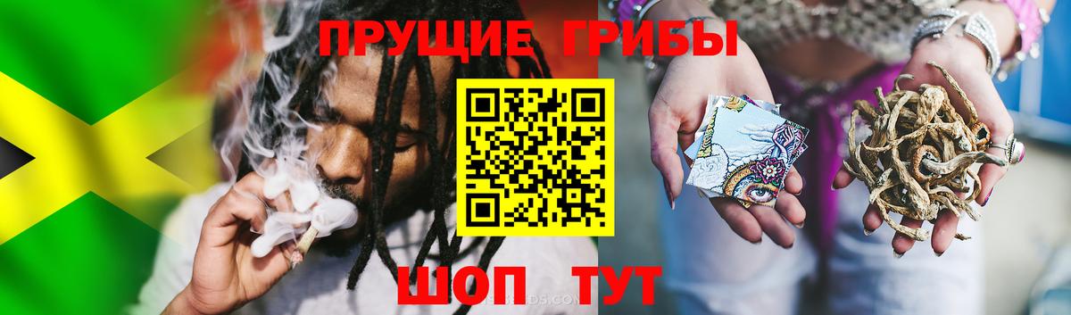 Псилоцибиновые грибы мухоморы Дедовск